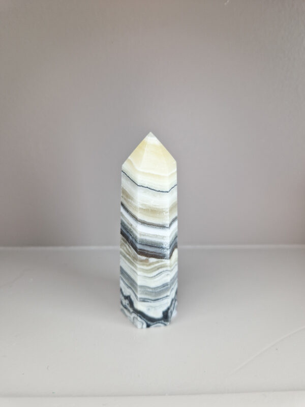 Zebra calciet toren
