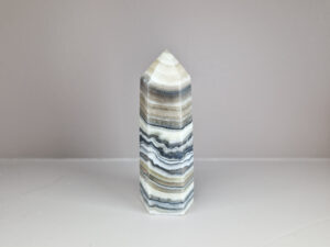 Zebra calciet toren