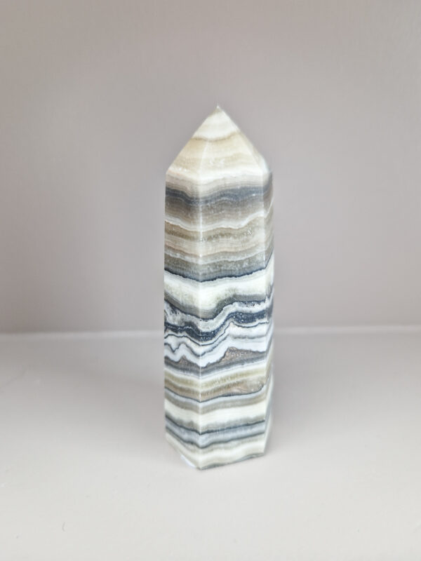 Zebra calciet toren