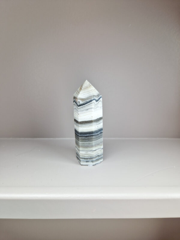Zebra calciet toren