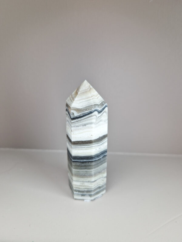 Zebra calciet toren