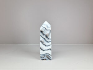Zebra calciet toren