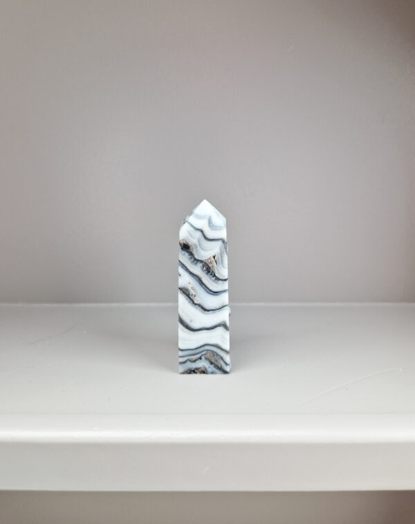 Zebra calciet toren