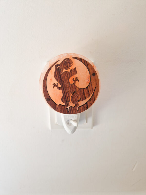 Nachtlamp zoutsteen - dinosaurus 3D