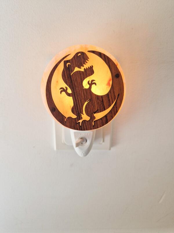 Nachtlamp zoutsteen - dinosaurus 3D