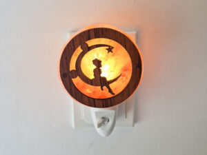 Nachtlamp zoutsteen - maanmeisje 3D