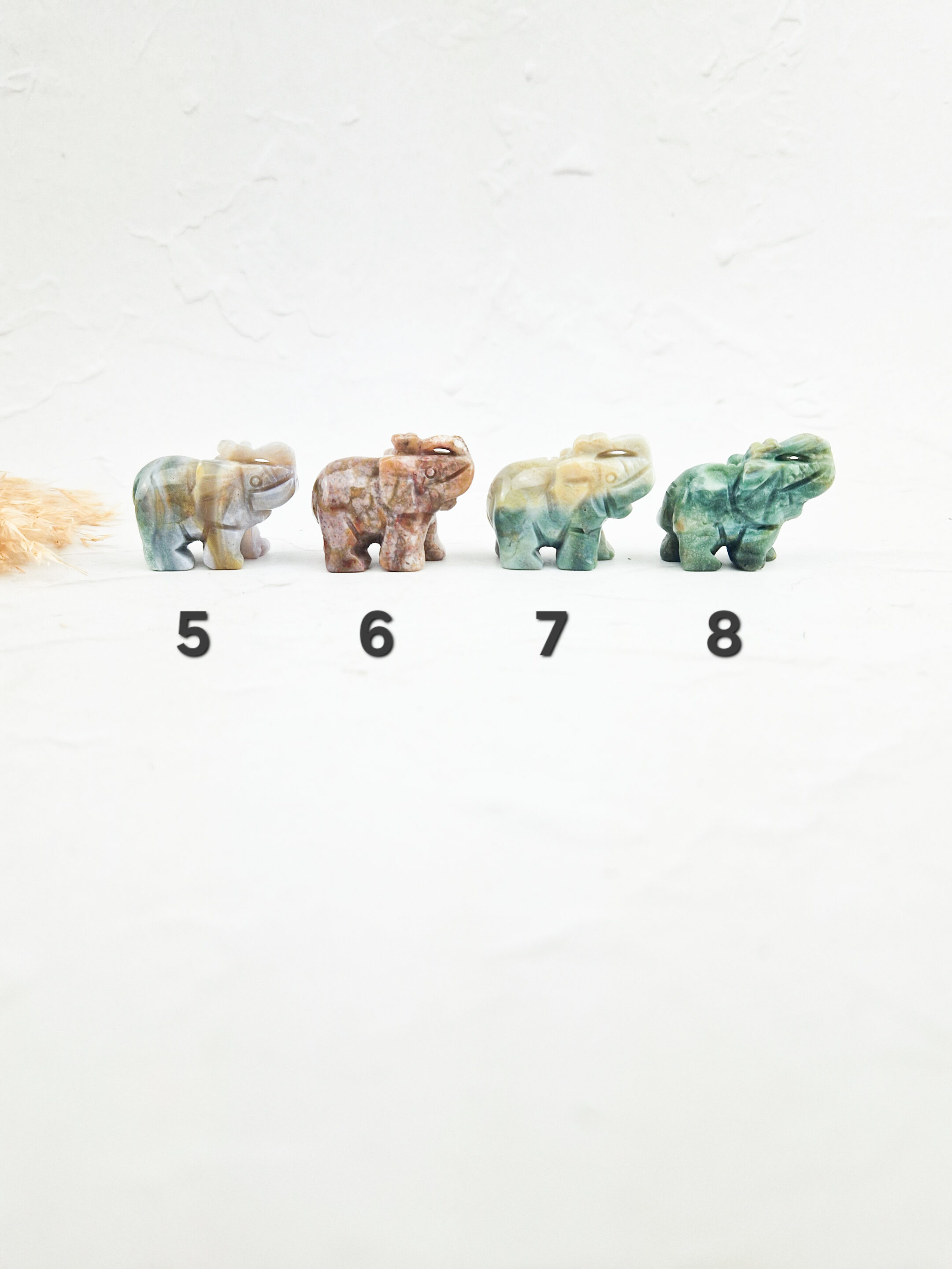 Oceaan jaspis olifant