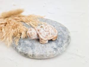Oceaan jaspis schildpad