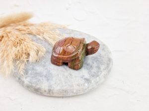 Oceaan jaspis schildpad