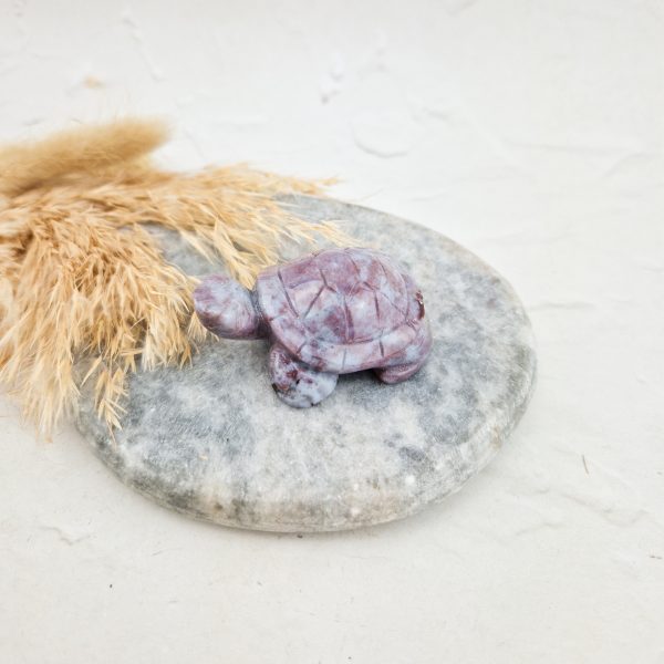Oceaan jaspis schildpad