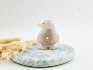 Agaat Pinguïn