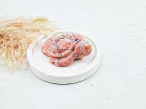 Cotton candy agaat schildpad (b-keuze)