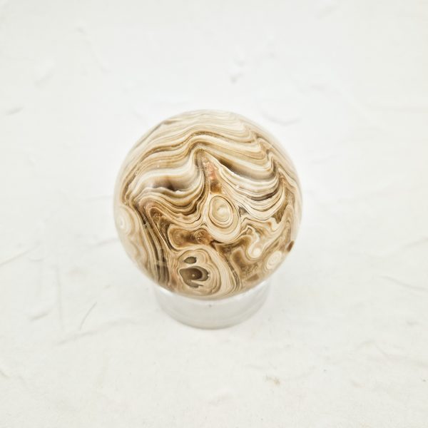 Chocolade calciet bol