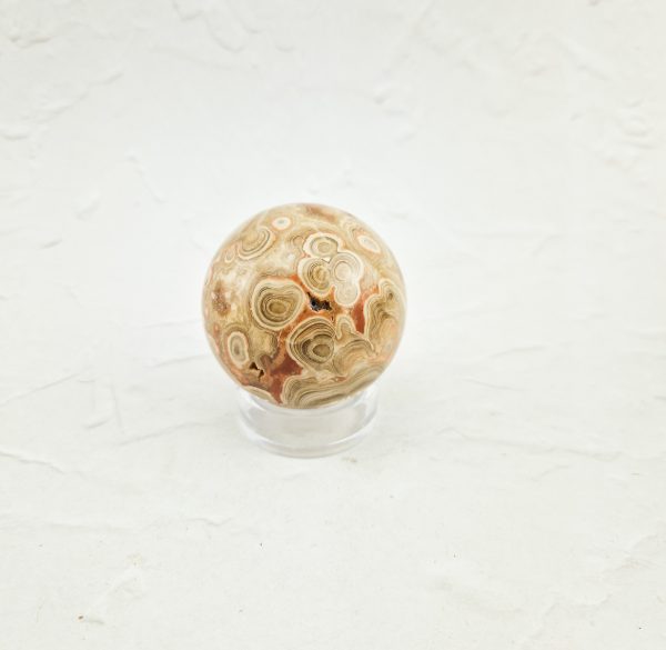 Chocolade calciet bol