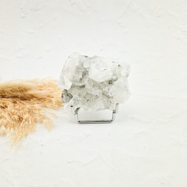 Witte apofyliet cluster