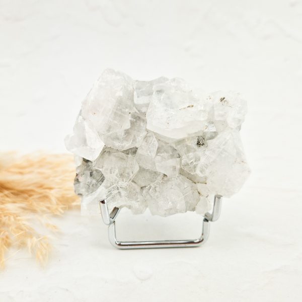 Witte apofyliet cluster