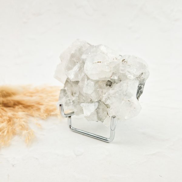 Witte apofyliet cluster