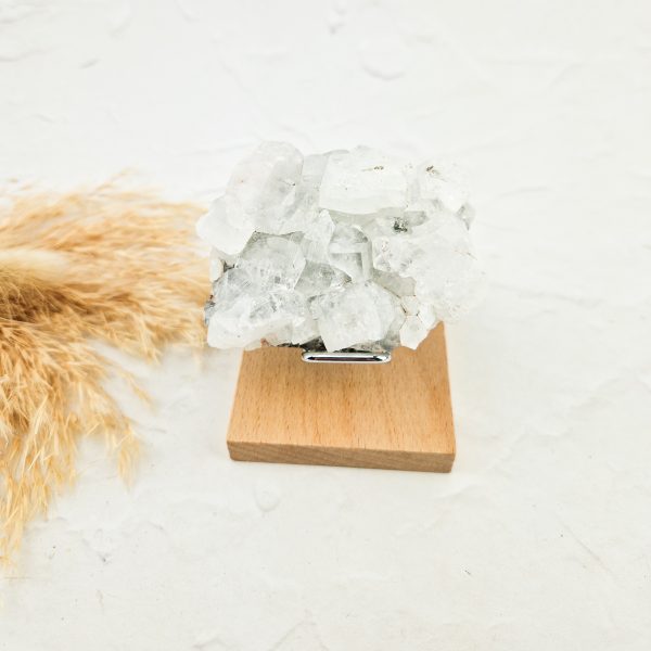 Witte apofyliet cluster