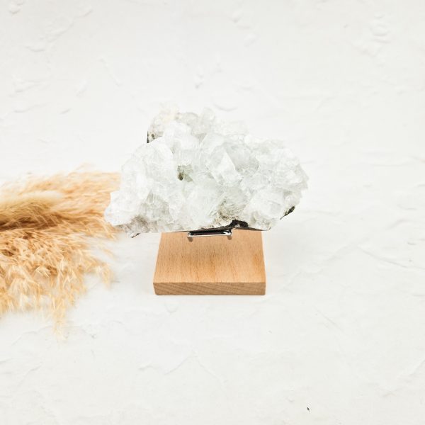 Witte apofyliet cluster