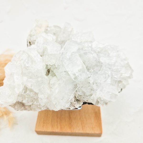 Witte apofyliet cluster