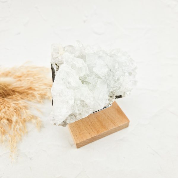 Witte apofyliet cluster