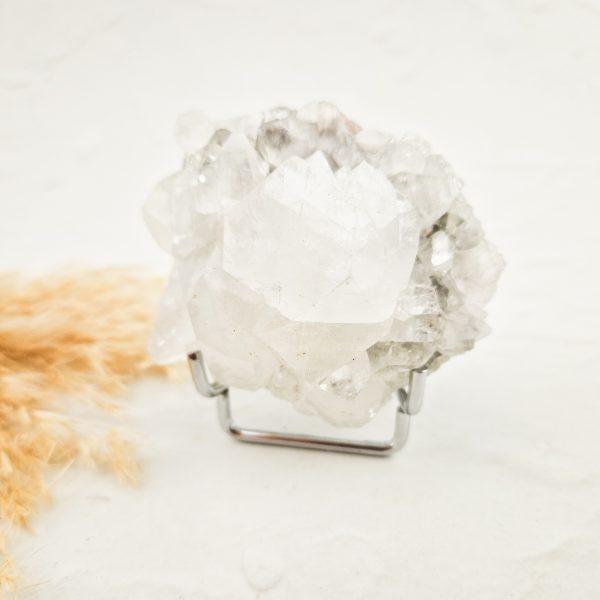 Witte apofylliet cluster