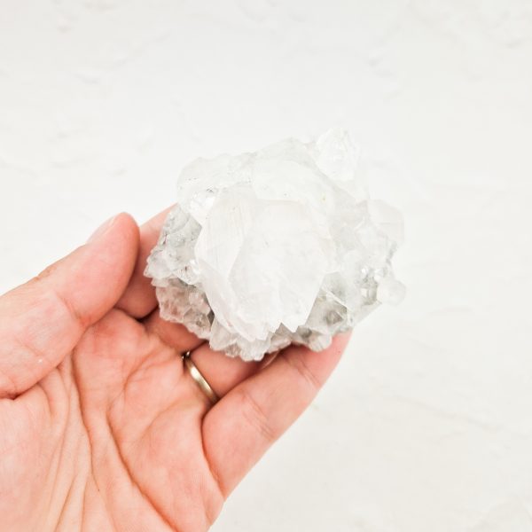 Witte apofylliet cluster
