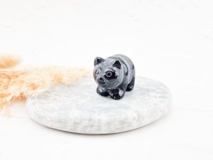 Obsidiaan panda