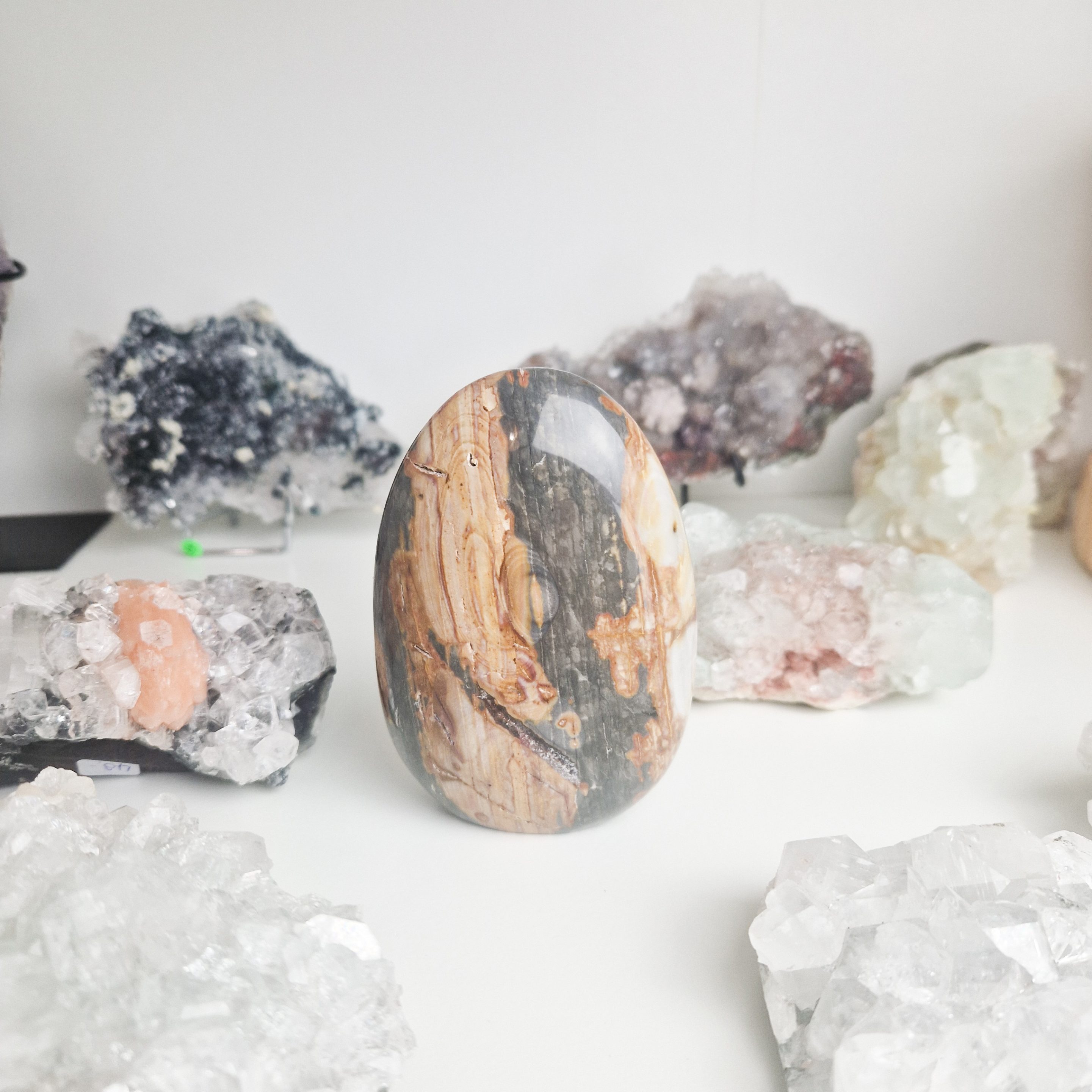 Versteend hout sculptuur