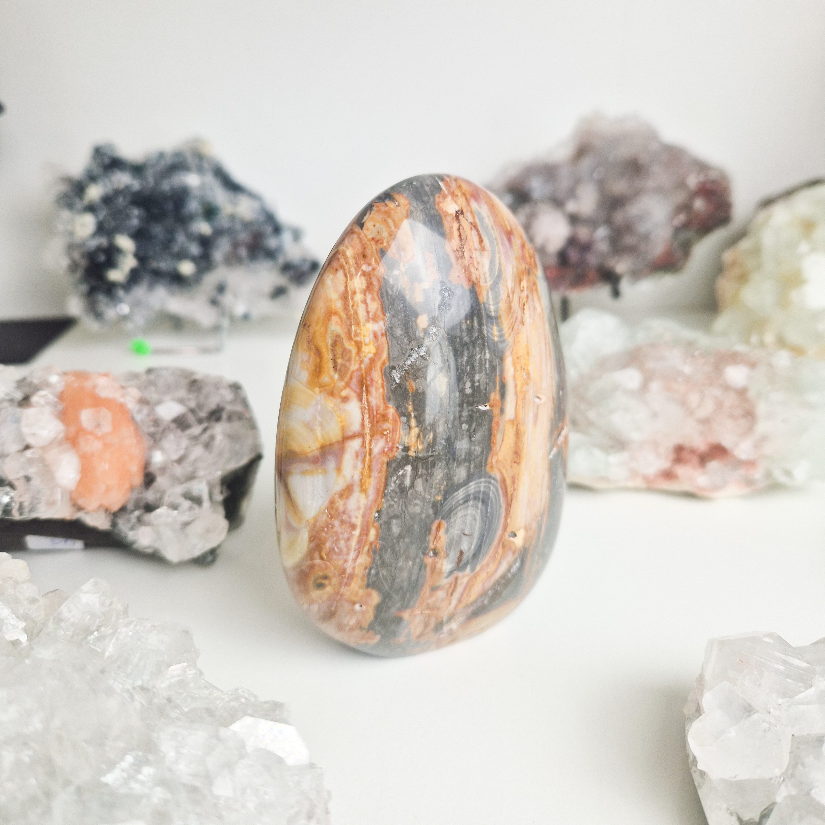 Versteend hout sculptuur