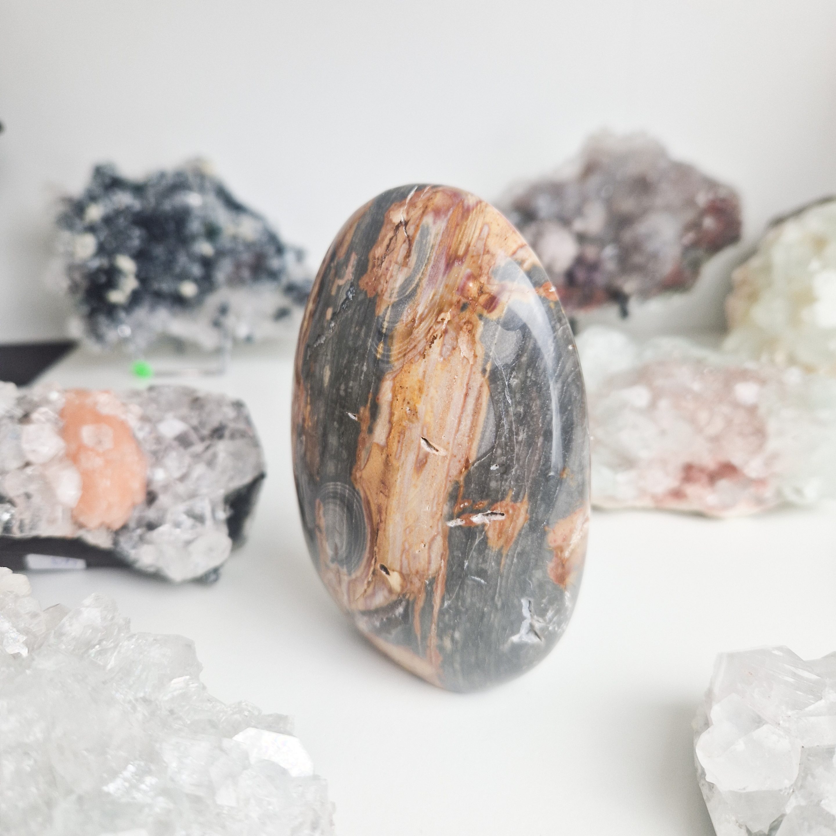 Versteend hout sculptuur