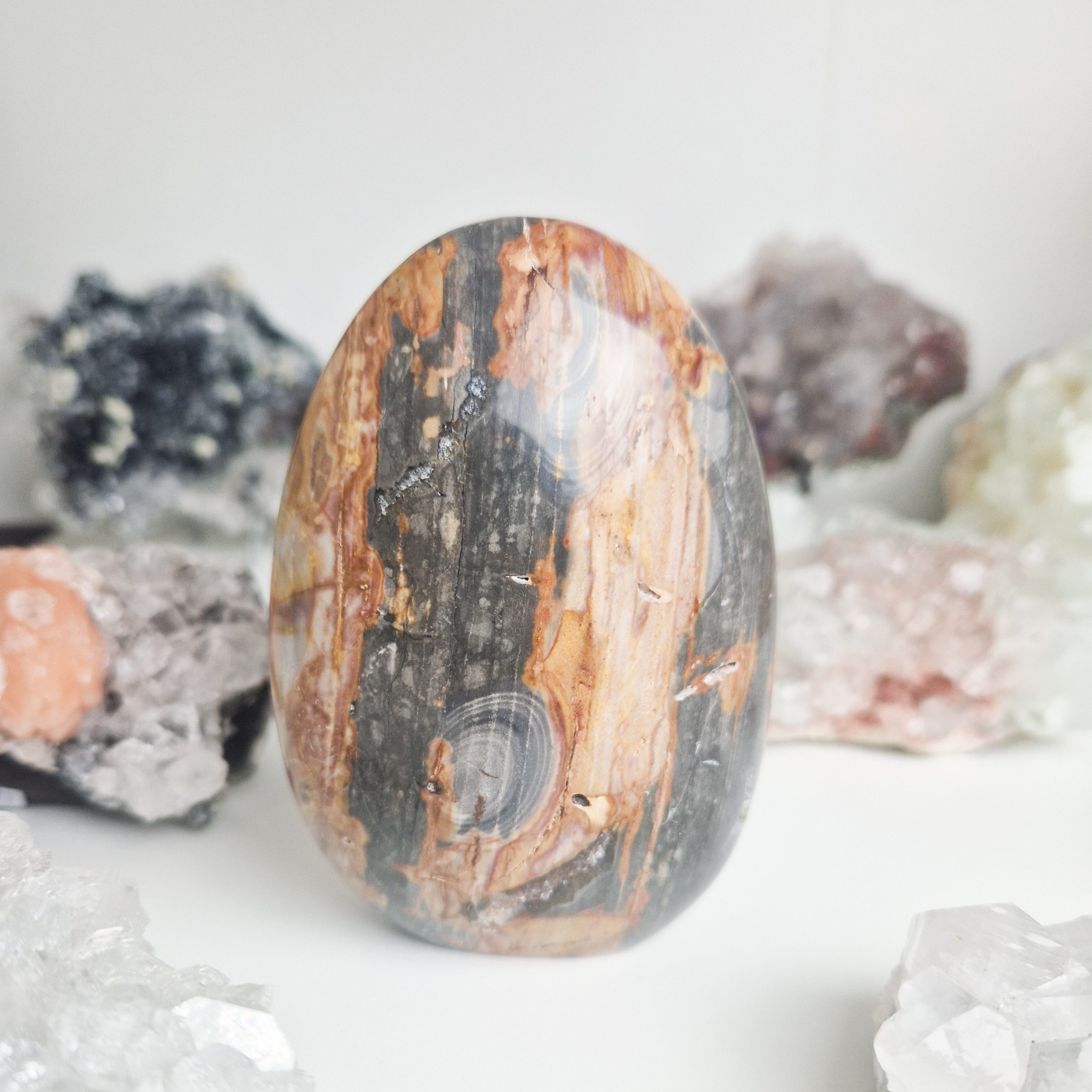 Versteend hout sculptuur