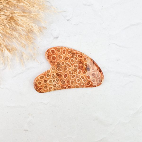 Versteend koraal gua sha