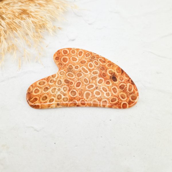 Versteend koraal gua sha