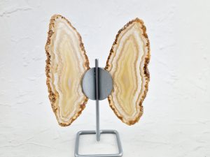 Agaat vlinder op standaard