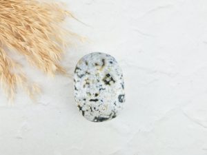 Oceaan jaspis palmsteen