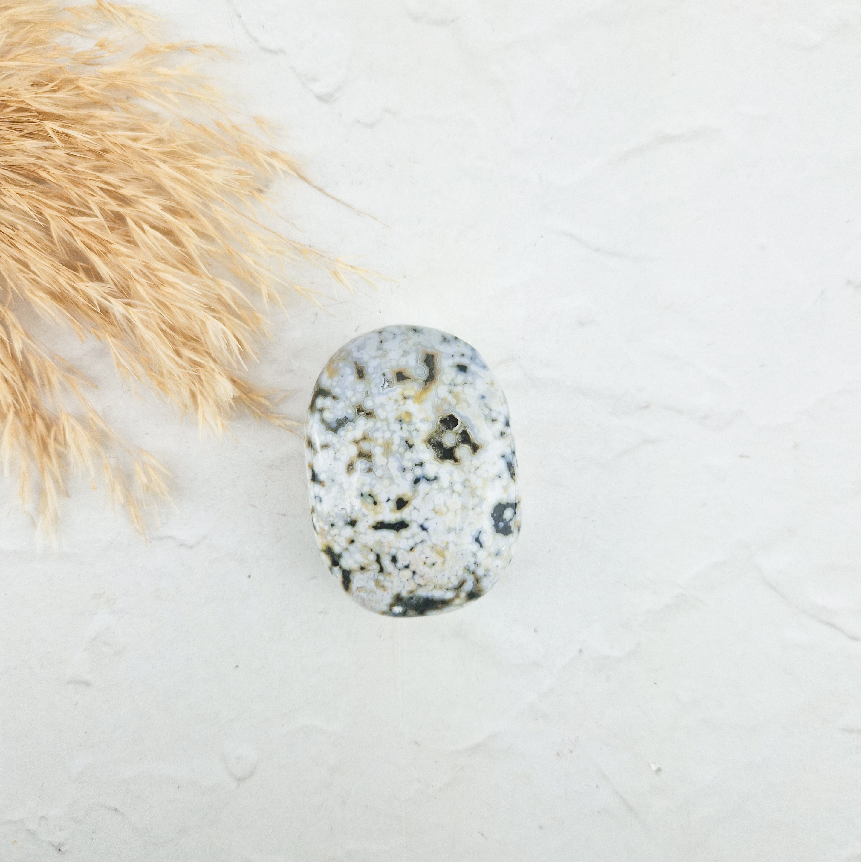 Oceaan jaspis palmsteen