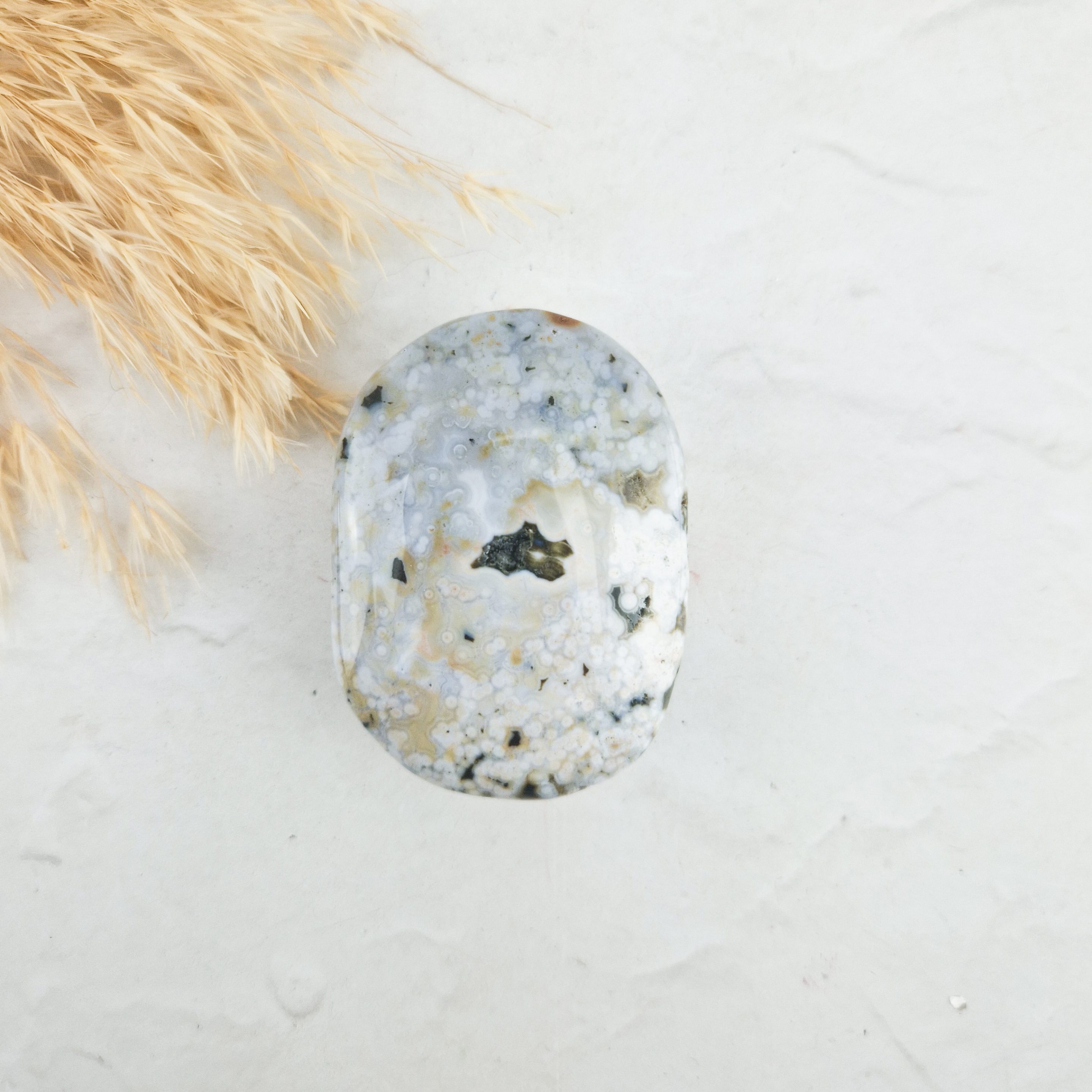 Oceaan jaspis palmsteen