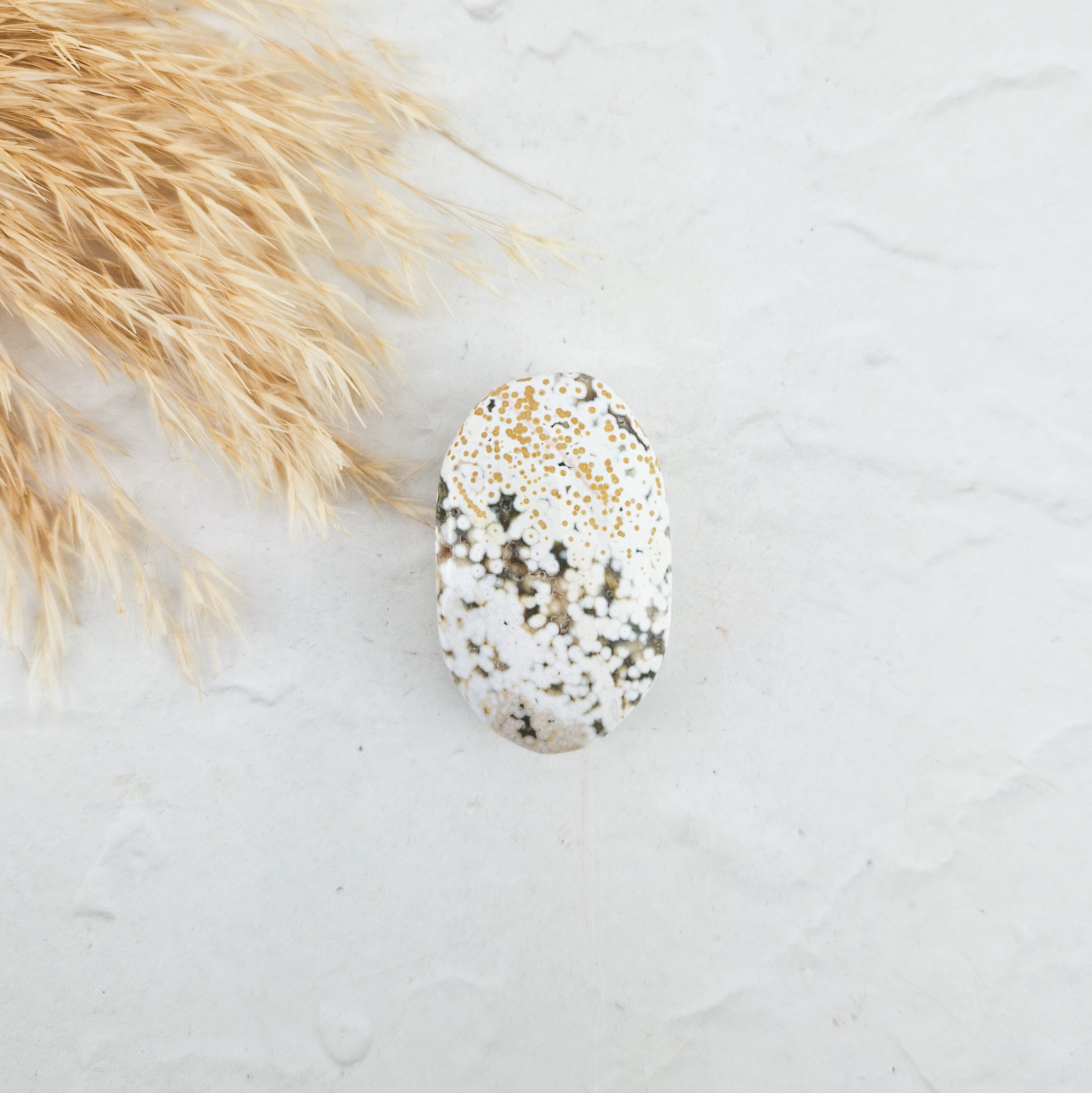 Oceaan jaspis palmsteen