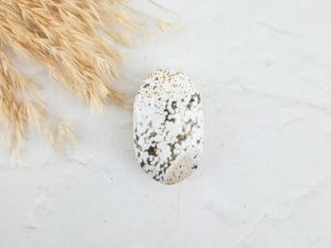 Oceaan jaspis palmsteen