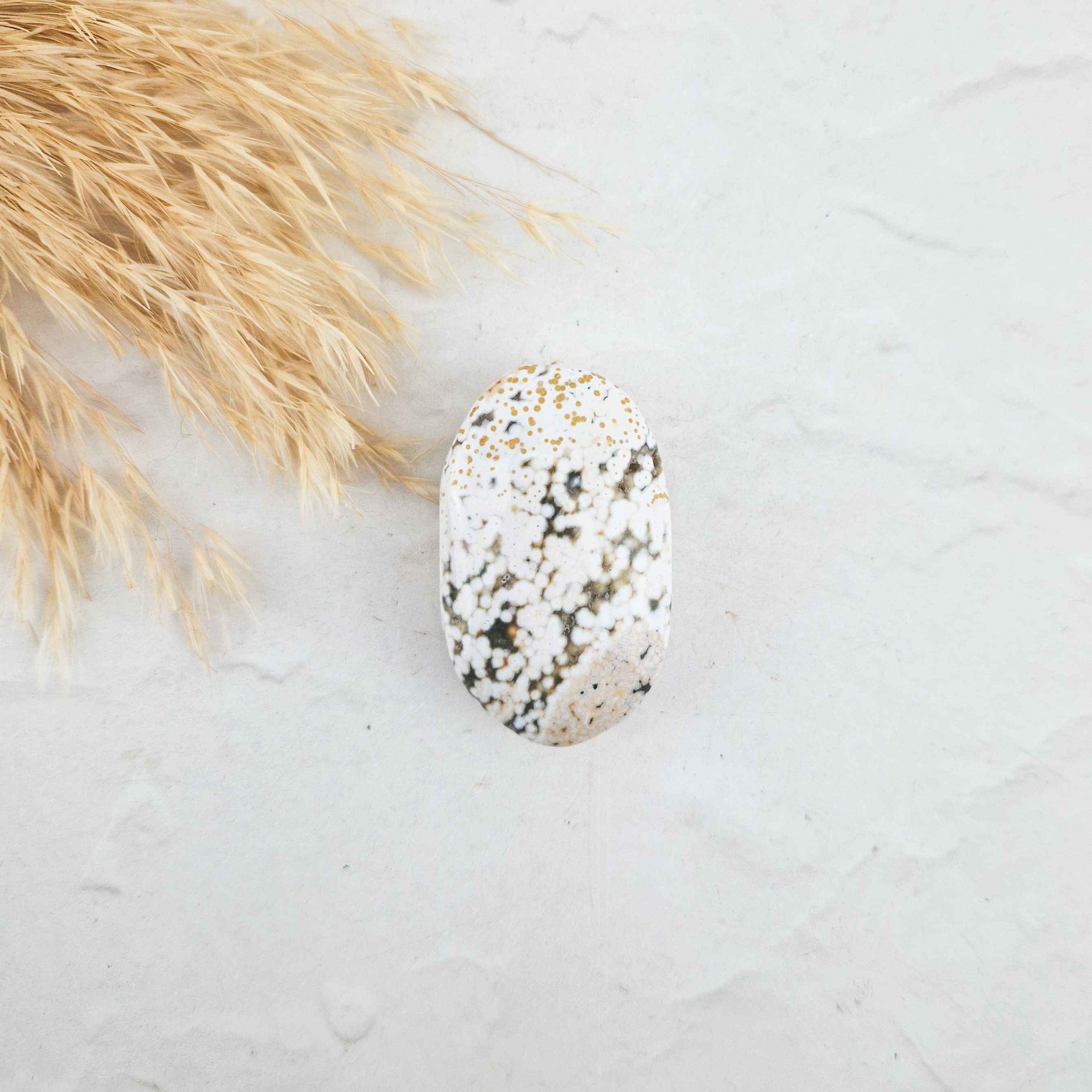 Oceaan jaspis palmsteen