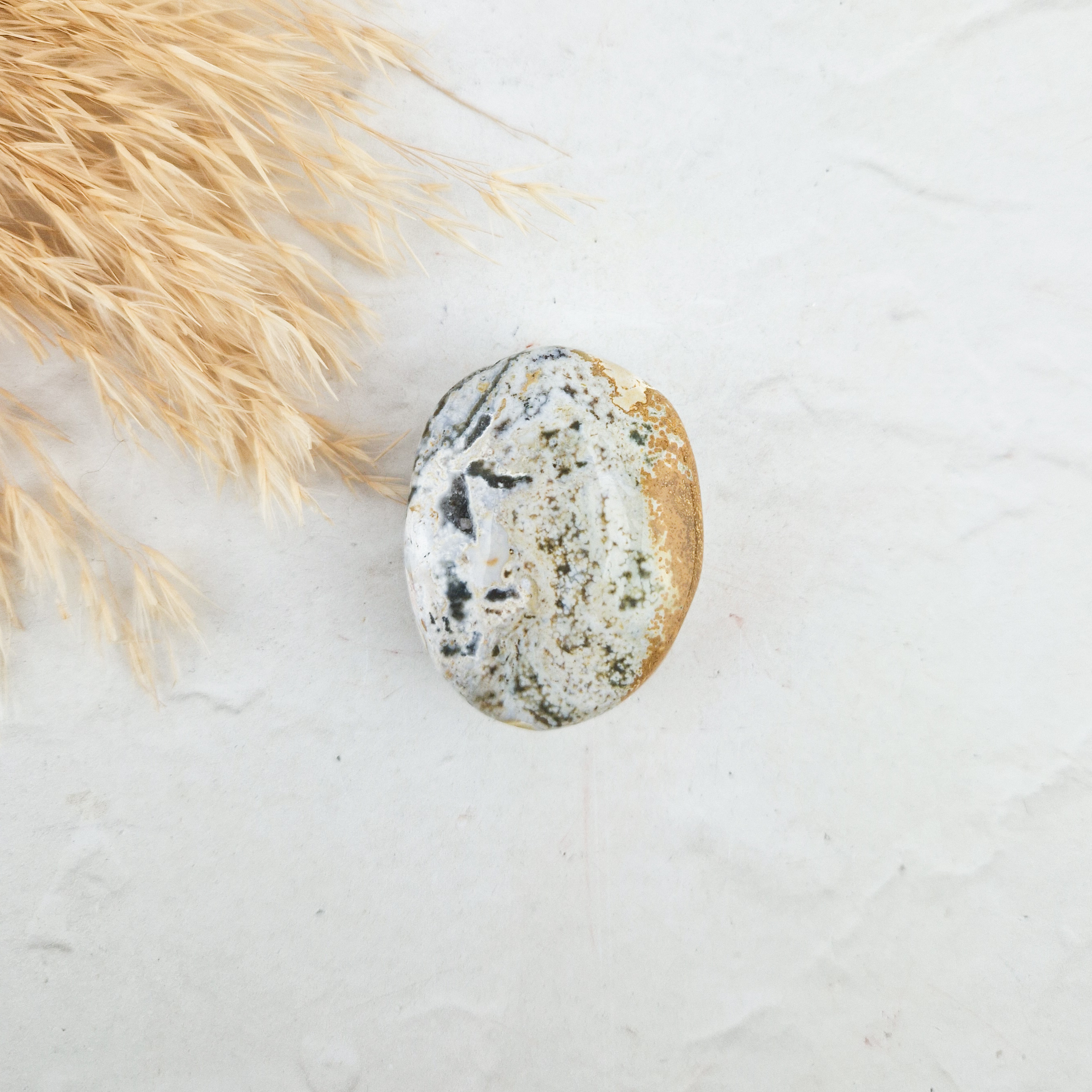 Oceaan jaspis palmsteen