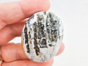 Oceaan jaspis palmsteen