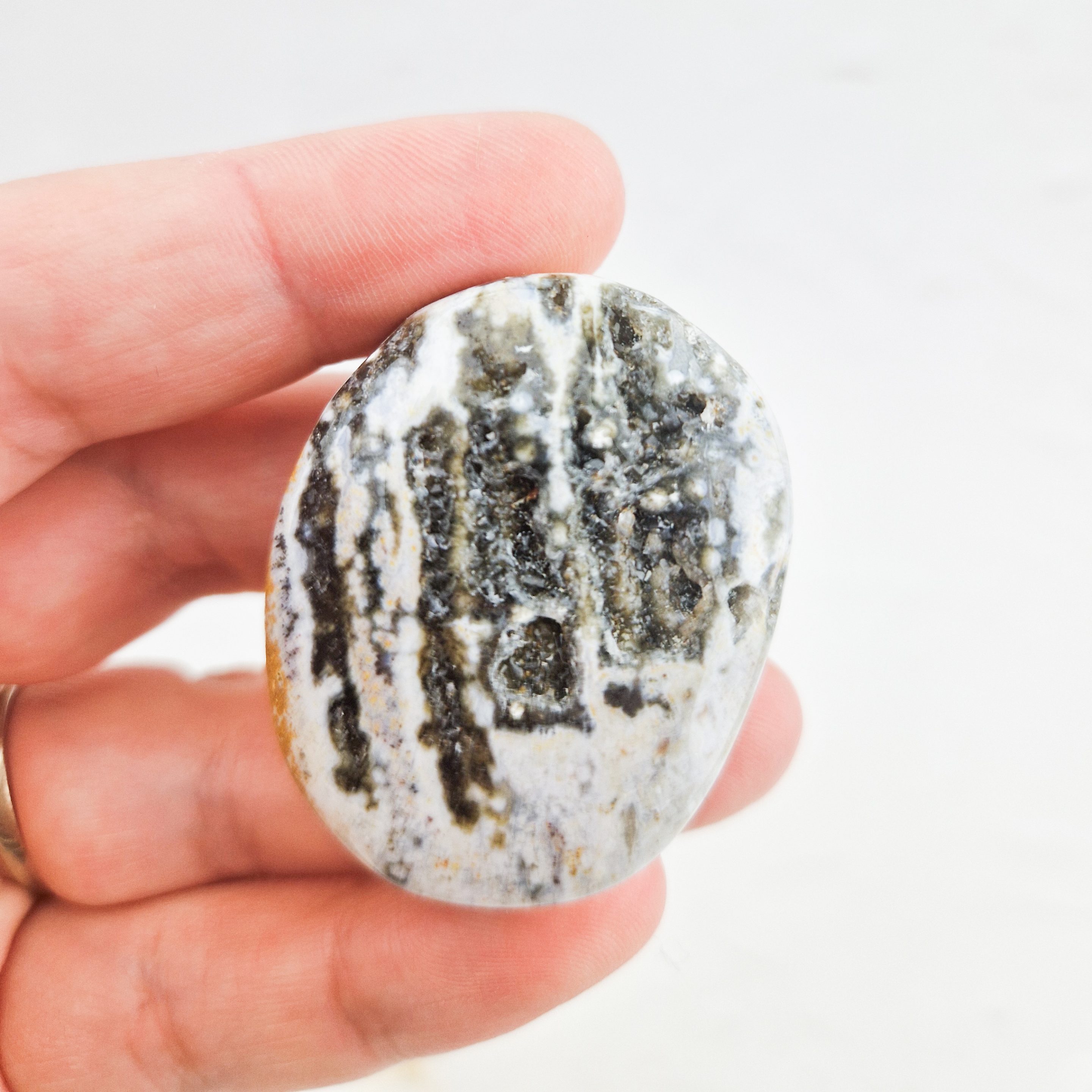 Oceaan jaspis palmsteen