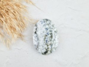 Oceaan jaspis palmsteen