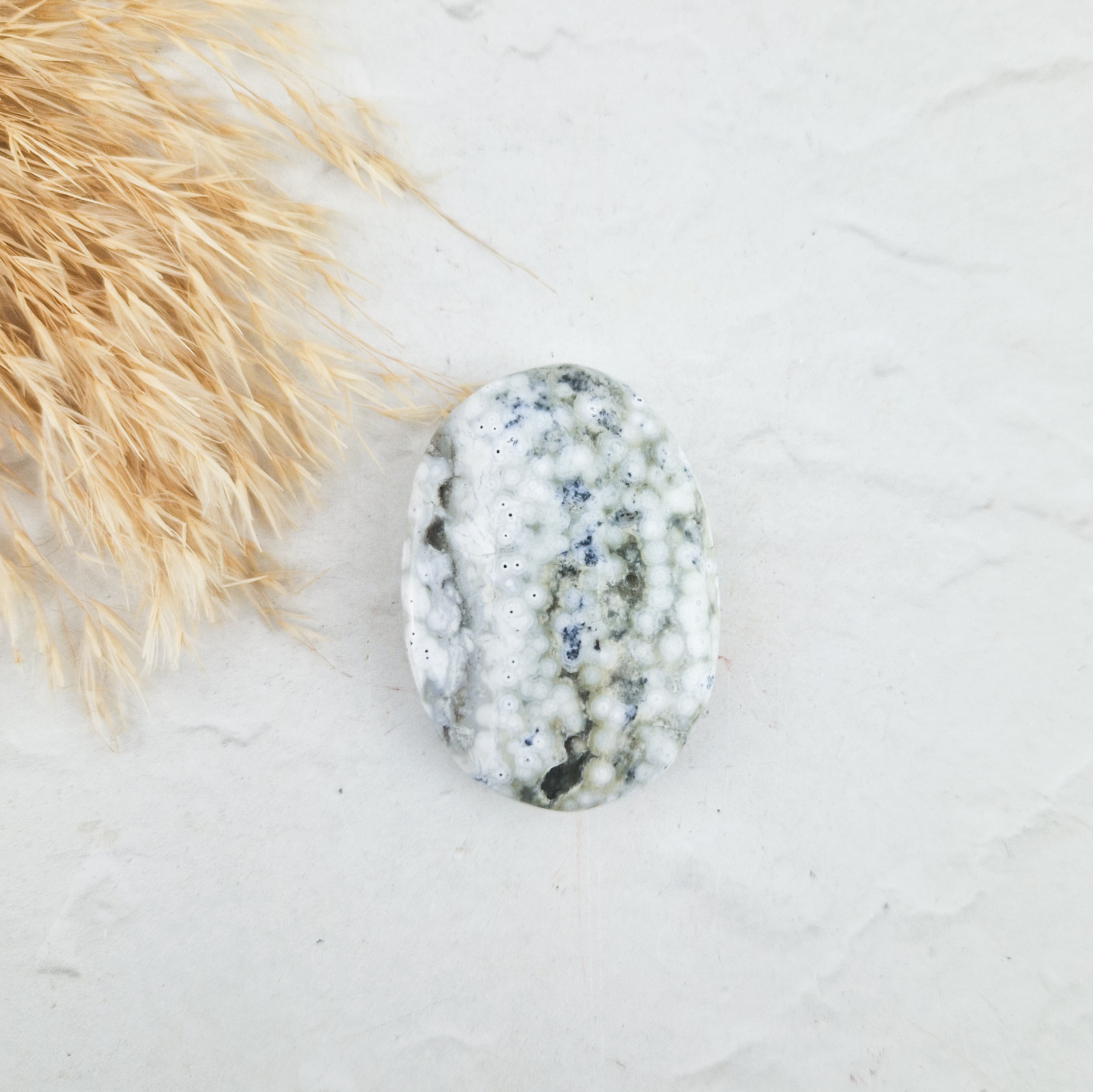 Oceaan jaspis palmsteen