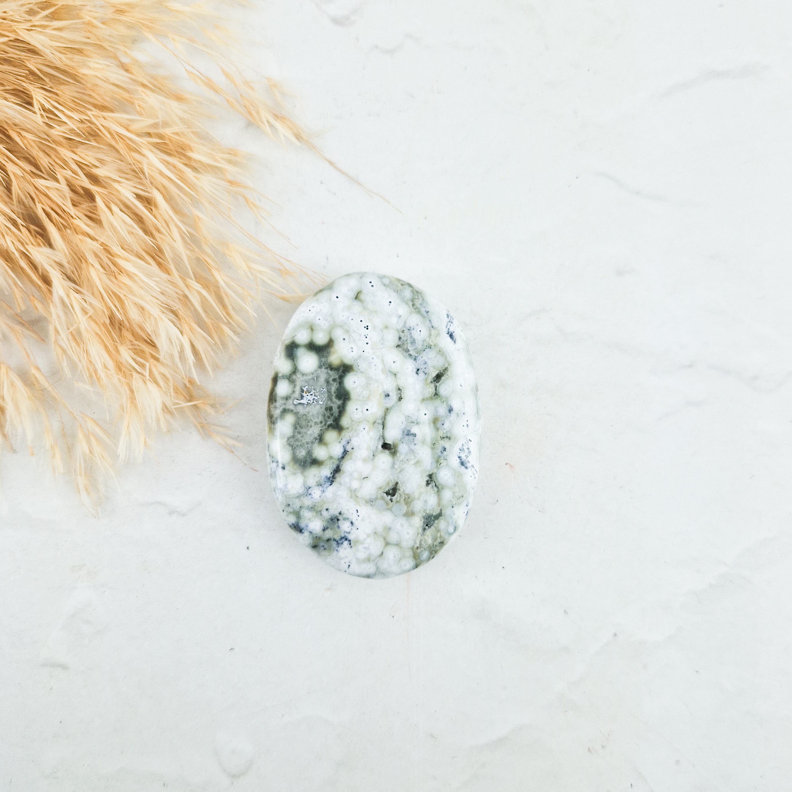 Oceaan jaspis palmsteen