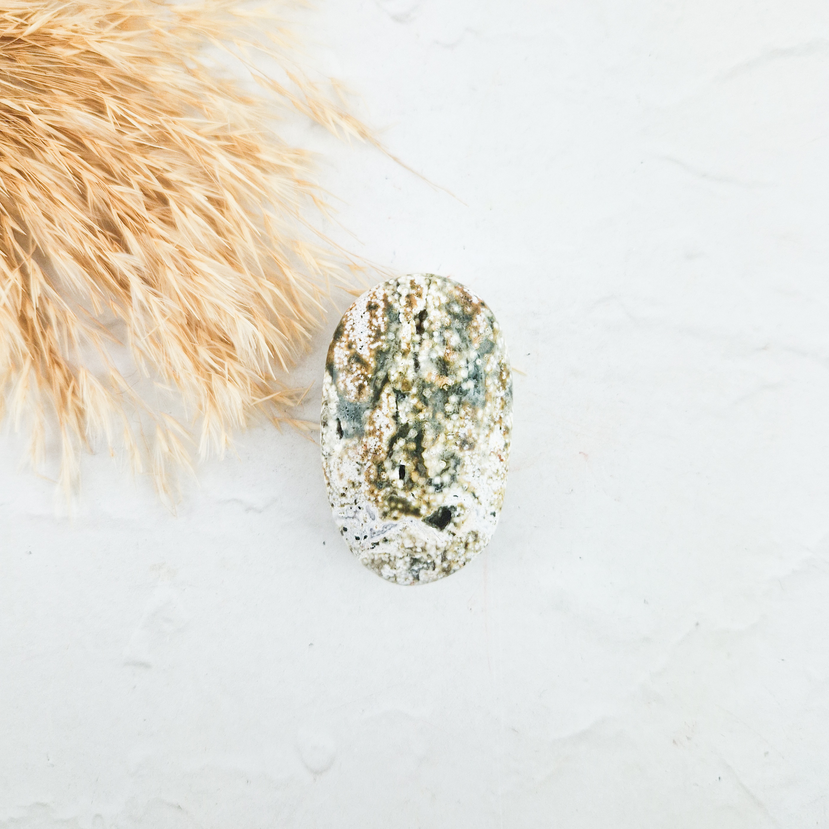 Oceaan jaspis palmsteen