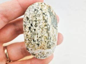 Oceaan jaspis palmsteen