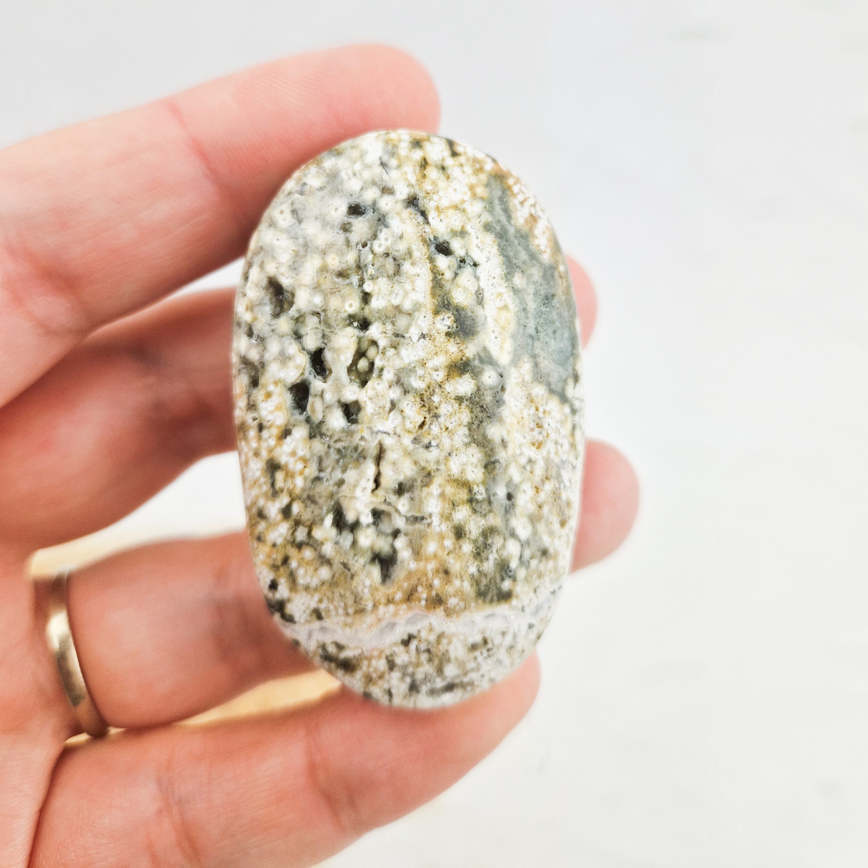 Oceaan jaspis palmsteen